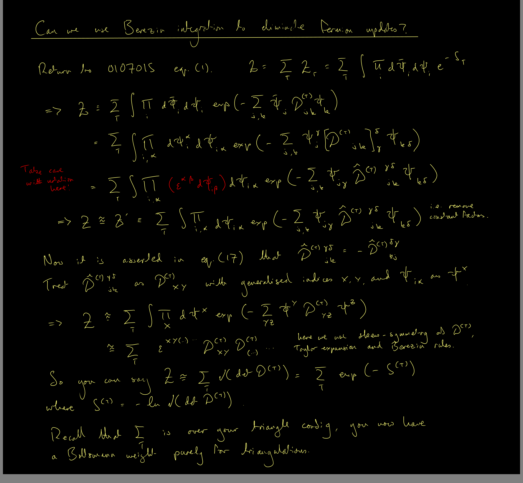 Notes on the fermion determinant and the Pfaffian.